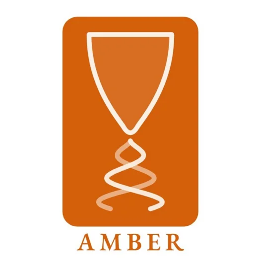 Logo mit orangefarbenem Hintergrund: Ein stilisiertes weißes Symbol aus einem kelchförmigen Element und einer darunter verlaufenden Doppelhelix. Darunter steht in Großbuchstaben „AMBER“.