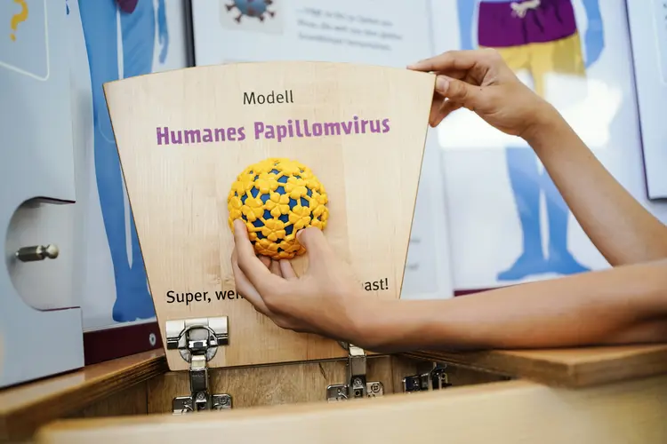 Kind hält ein Modell eines HP-Virus in die Kamera.